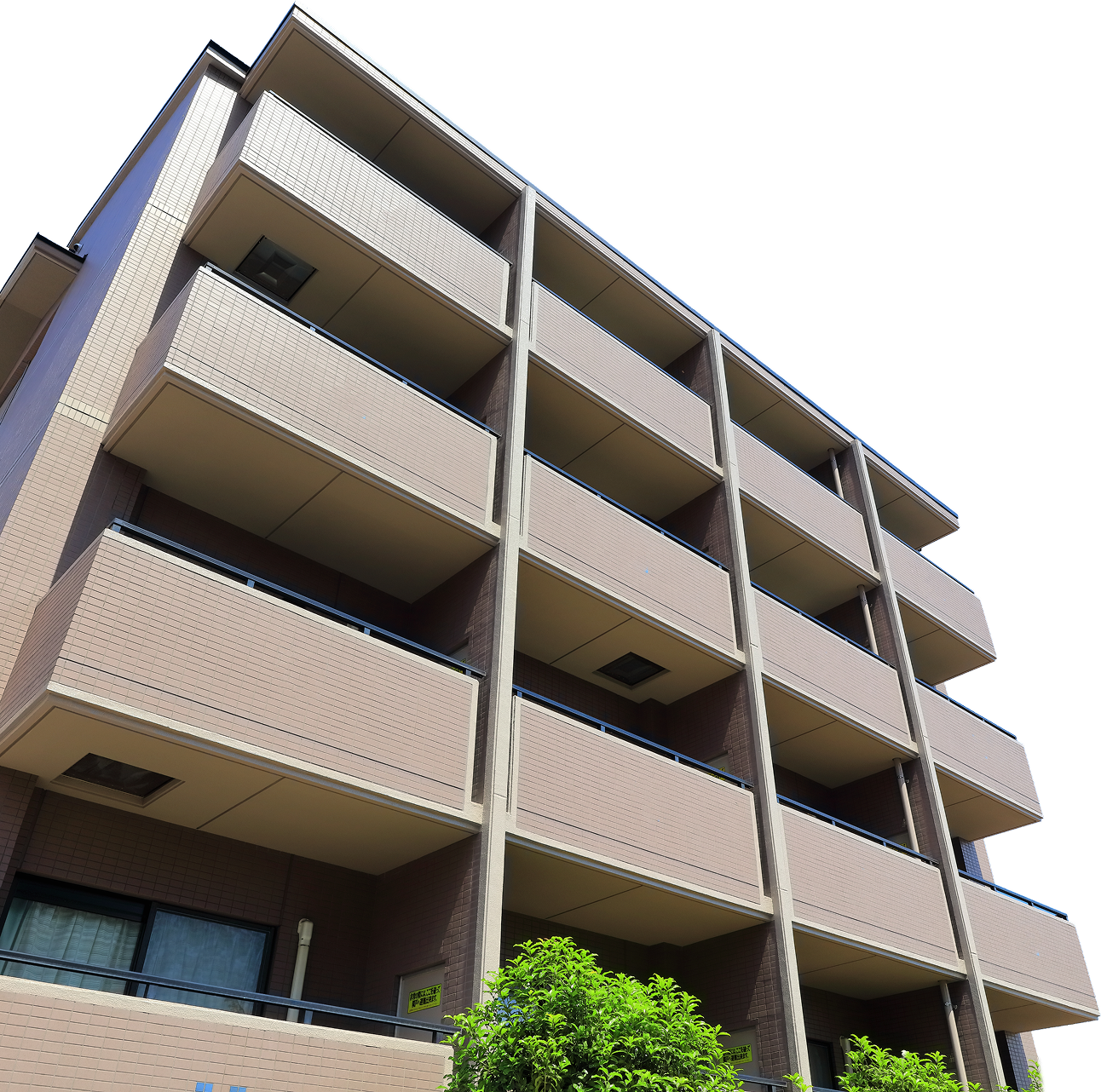 建物イメージ